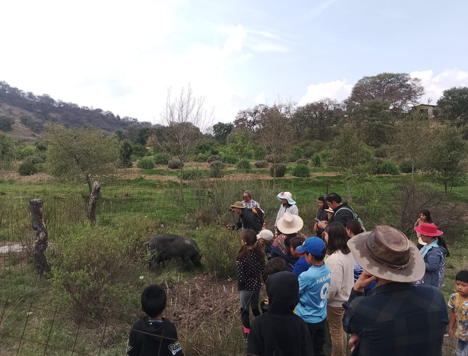 Rancho Abierto - Imagen 2