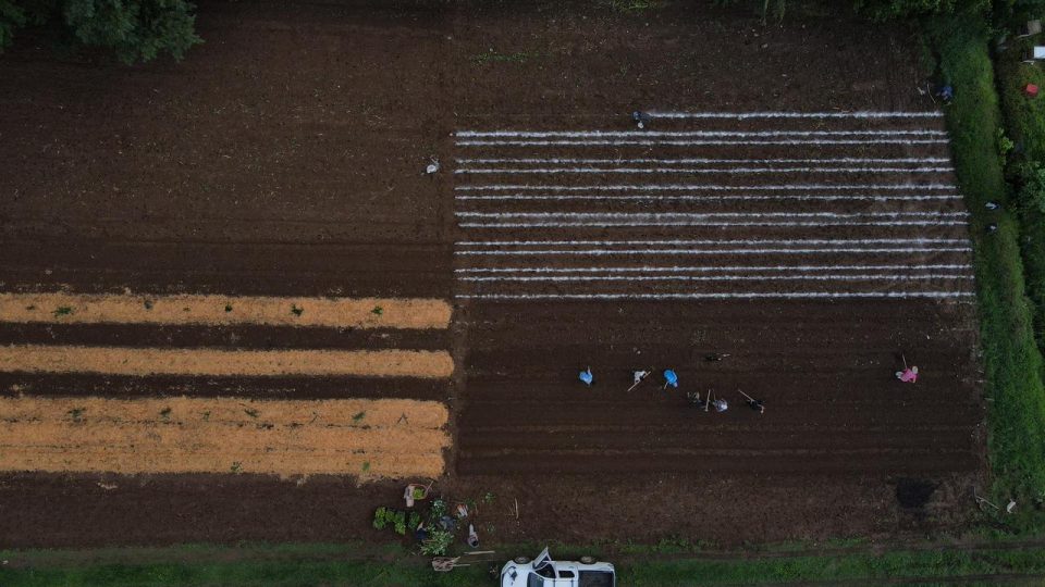 Taller Agroforestal - Imagen 4