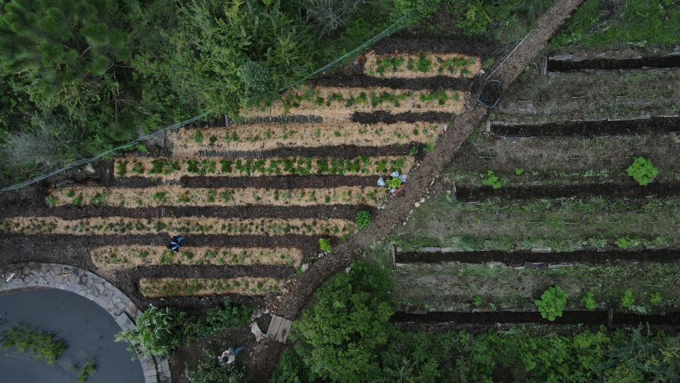 Taller Agroforestal - Imagen 3