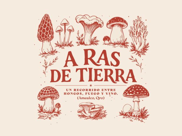 A Ras de Tierra