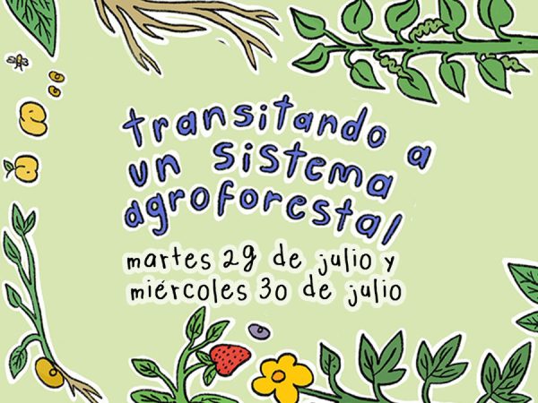 Taller Agroforestal