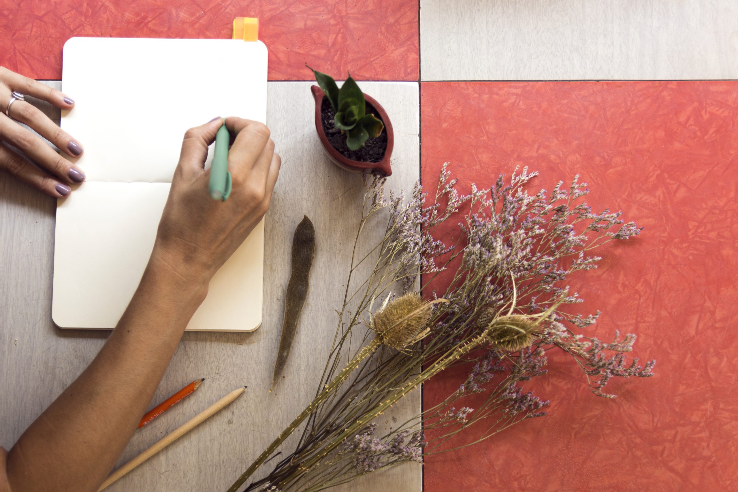 Tierra y tinta - Imagen 3